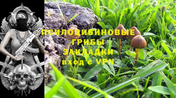 мдпв Балахна